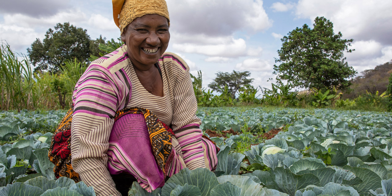 Photo showing a woman taking part in WFP's Food for Asset programme harvests from a garden in Dodoma region, Tanzania.