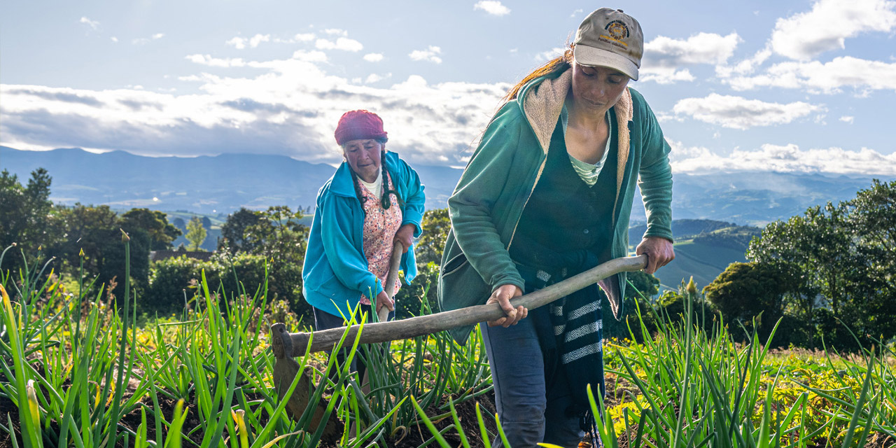 Photo showing Sonia Rodríguez, a smallholder farmer from Montúfar in Ecuador, tending to her crops, which help to supply WFP school meals.